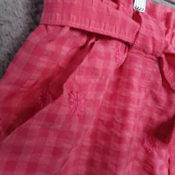 Time And Tru Womens XL Seersucker Shorts Paperbag Waist High-Rise Rose Pull On - Picture 4 of 11